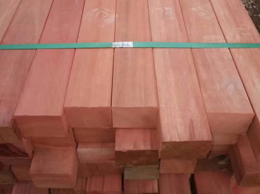 四川山樟木 四川山樟木